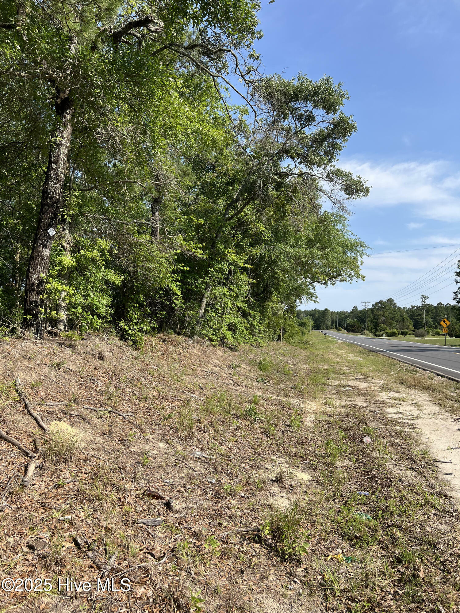Property Photo: 0 Off Shaw Highway NC 28457