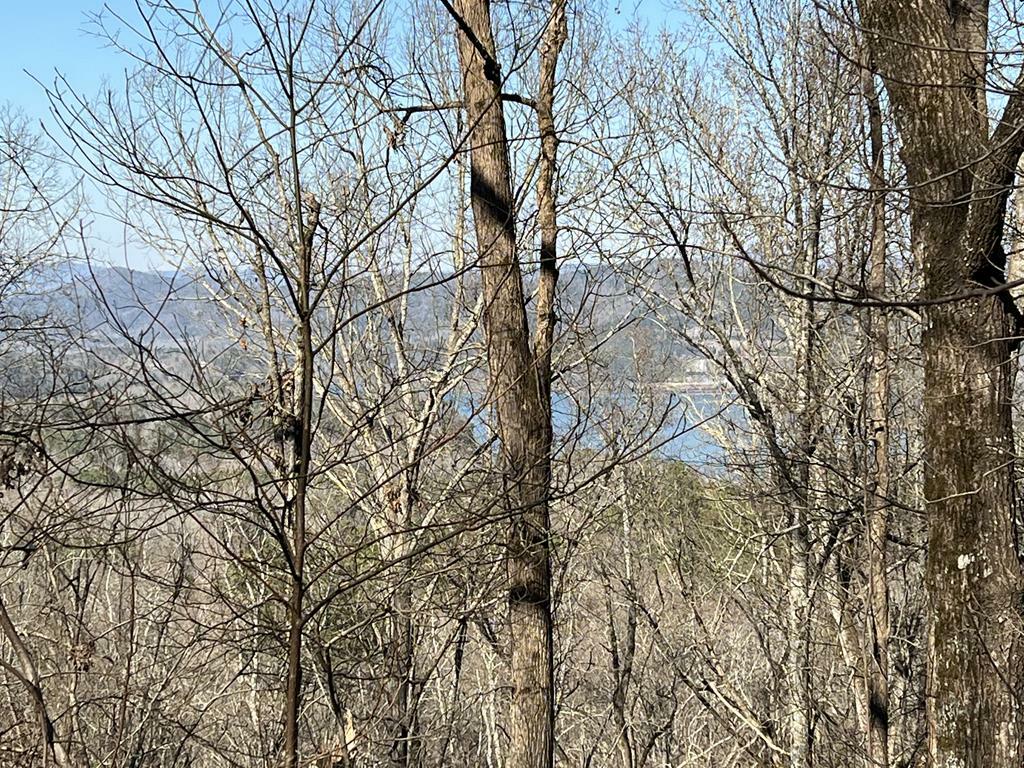 Property Photo: Lot 326 Adair Drive GA 30734