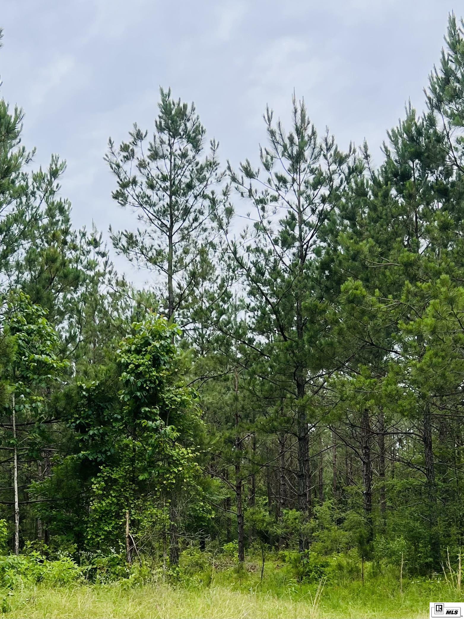 Property Photo:  0 Holly Hill Road  LA 71032 