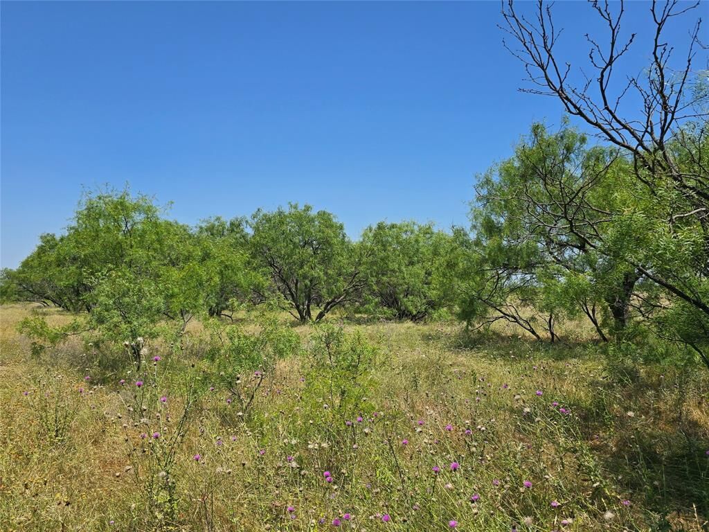 Property Photo:  Tbd Cr 258  TX 79510 