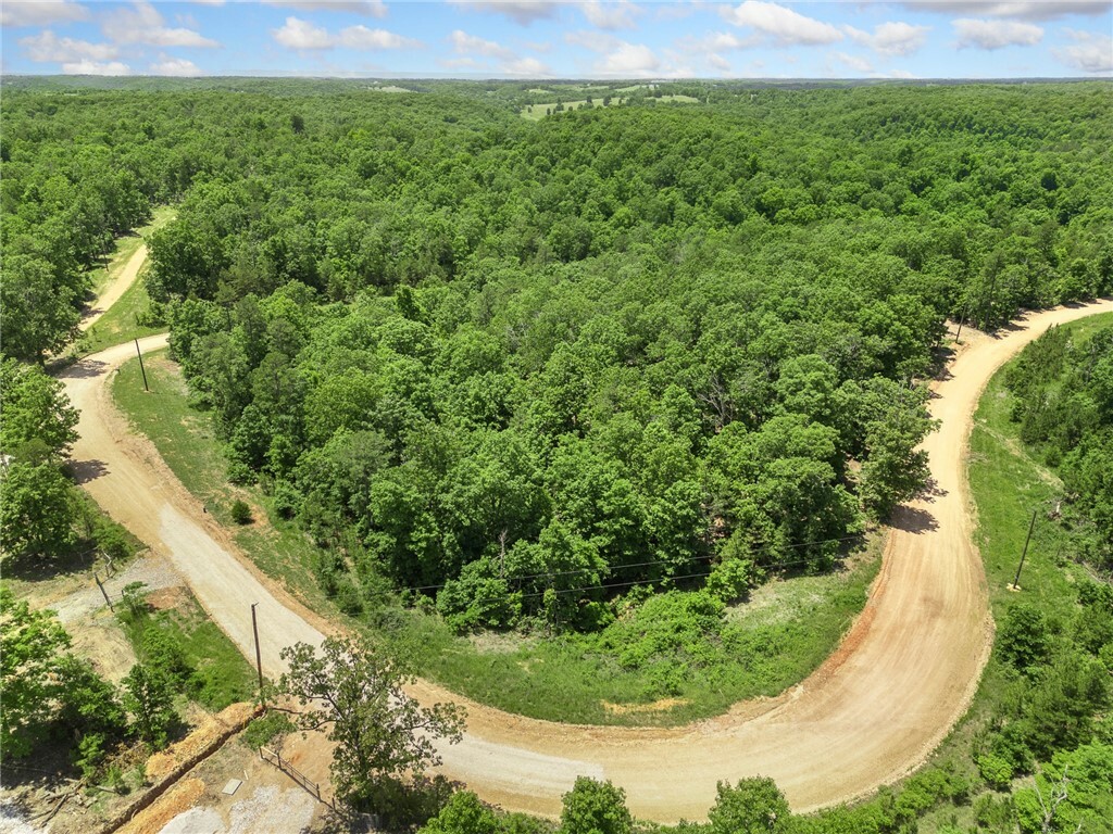 Property Photo: Tbd Morgan Cave Road AR 72601