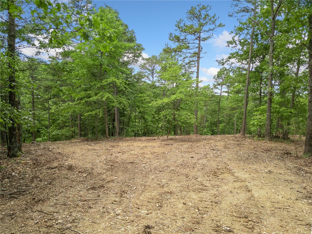Property Photo: Tbd Morgan Cave Road AR 72601