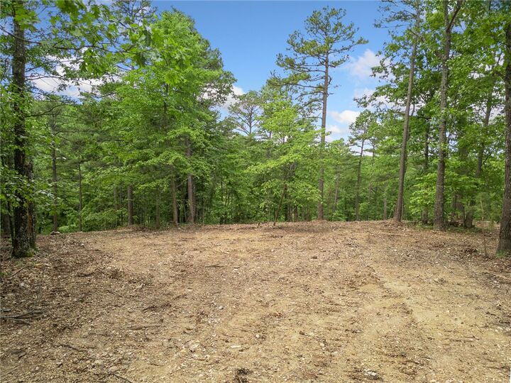 Property Photo:  Tbd Morgan Cave Road  AR 72601 