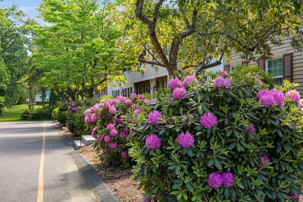 Property Photo:  39 Liberty Square Road A  MA 01719 