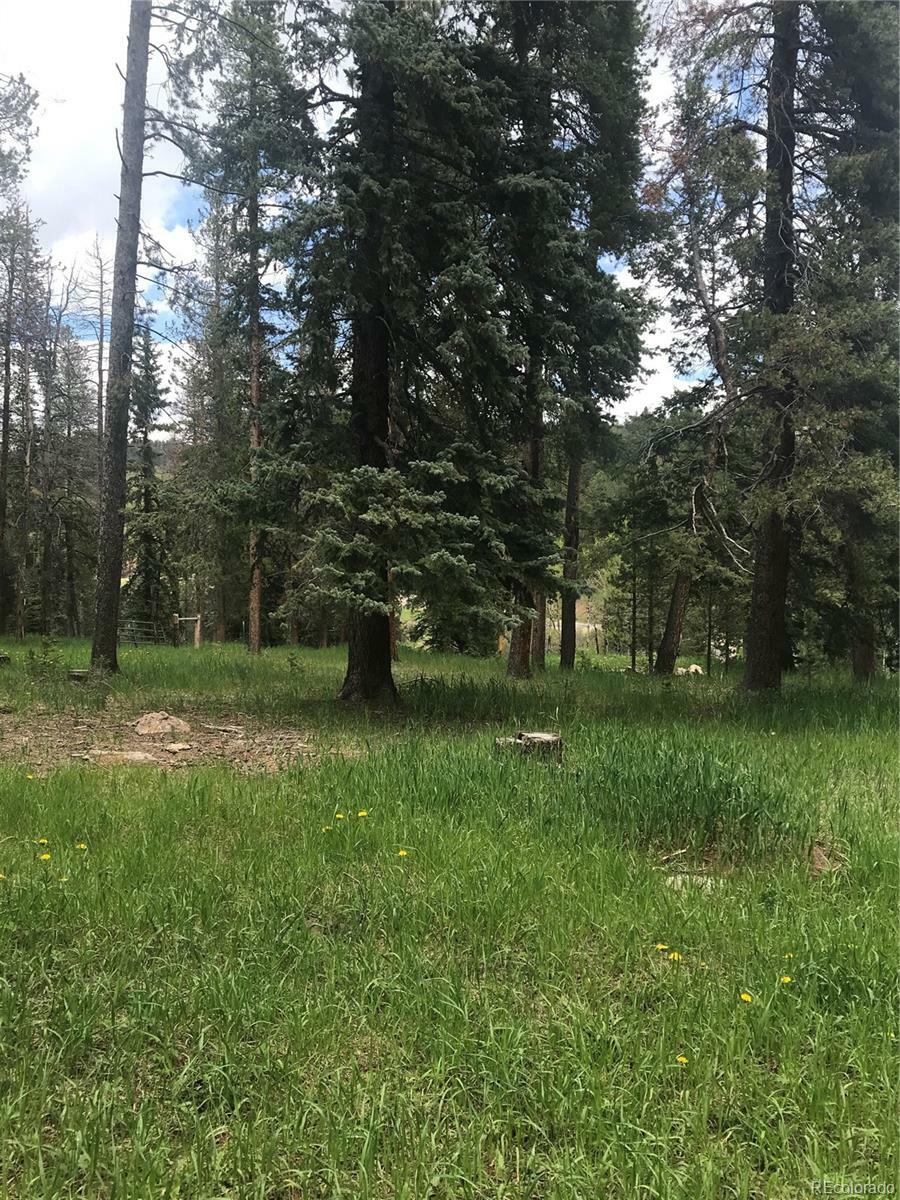 Property Photo: