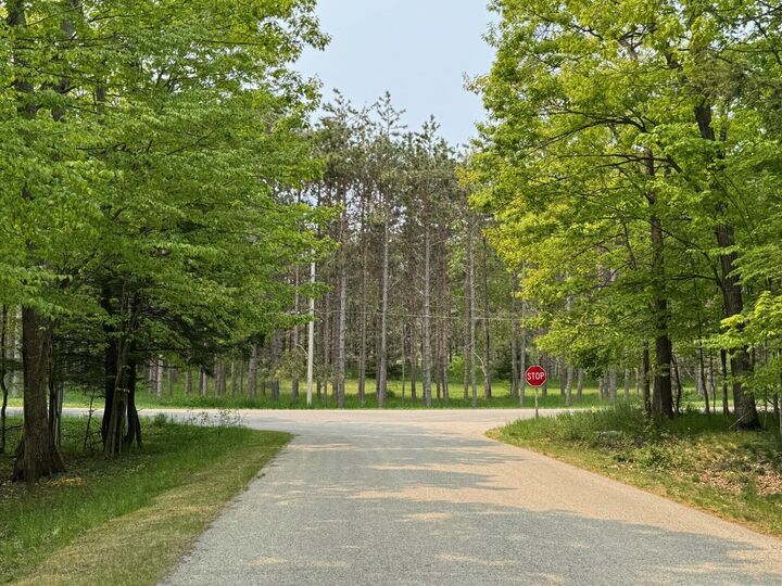 Property Photo: 5945 Lodgepole Road MI 49740