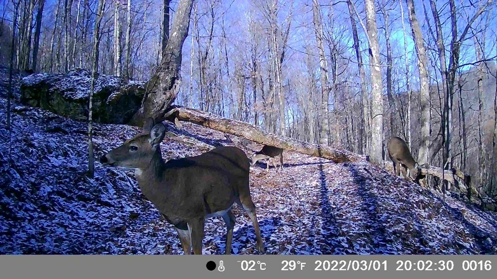 Property Photo: 0 James River &Amp Kanawha Turnpike WV 25962