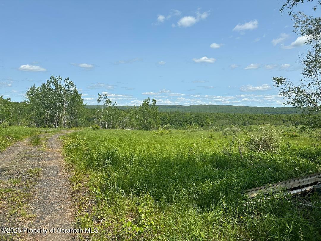 Property Photo: Dundaff St SR 1007 PA 18407