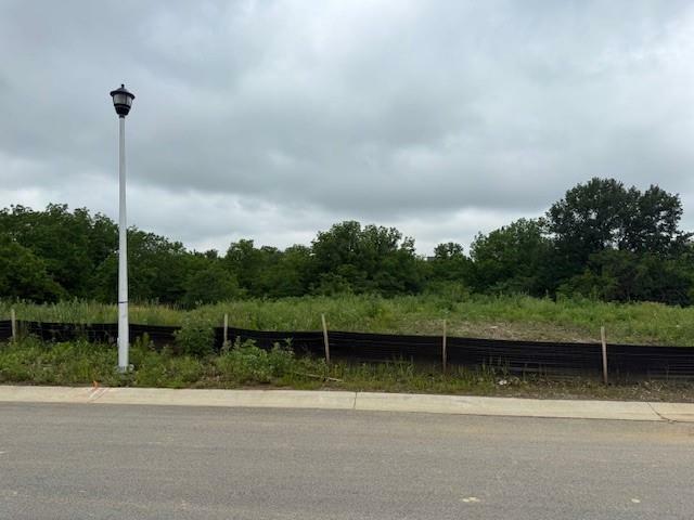 17028 Earnshaw Street  Overland Park KS 66210 photo