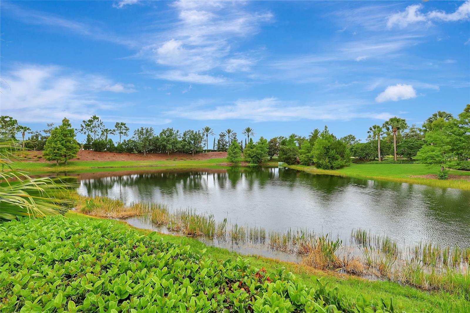 Property Photo:  13108 Torresina Terrace  FL 34211 