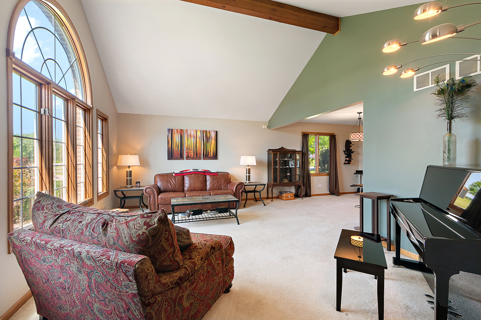 Property Photo:  21156 S Wooded Cove Drive  IL 60421 