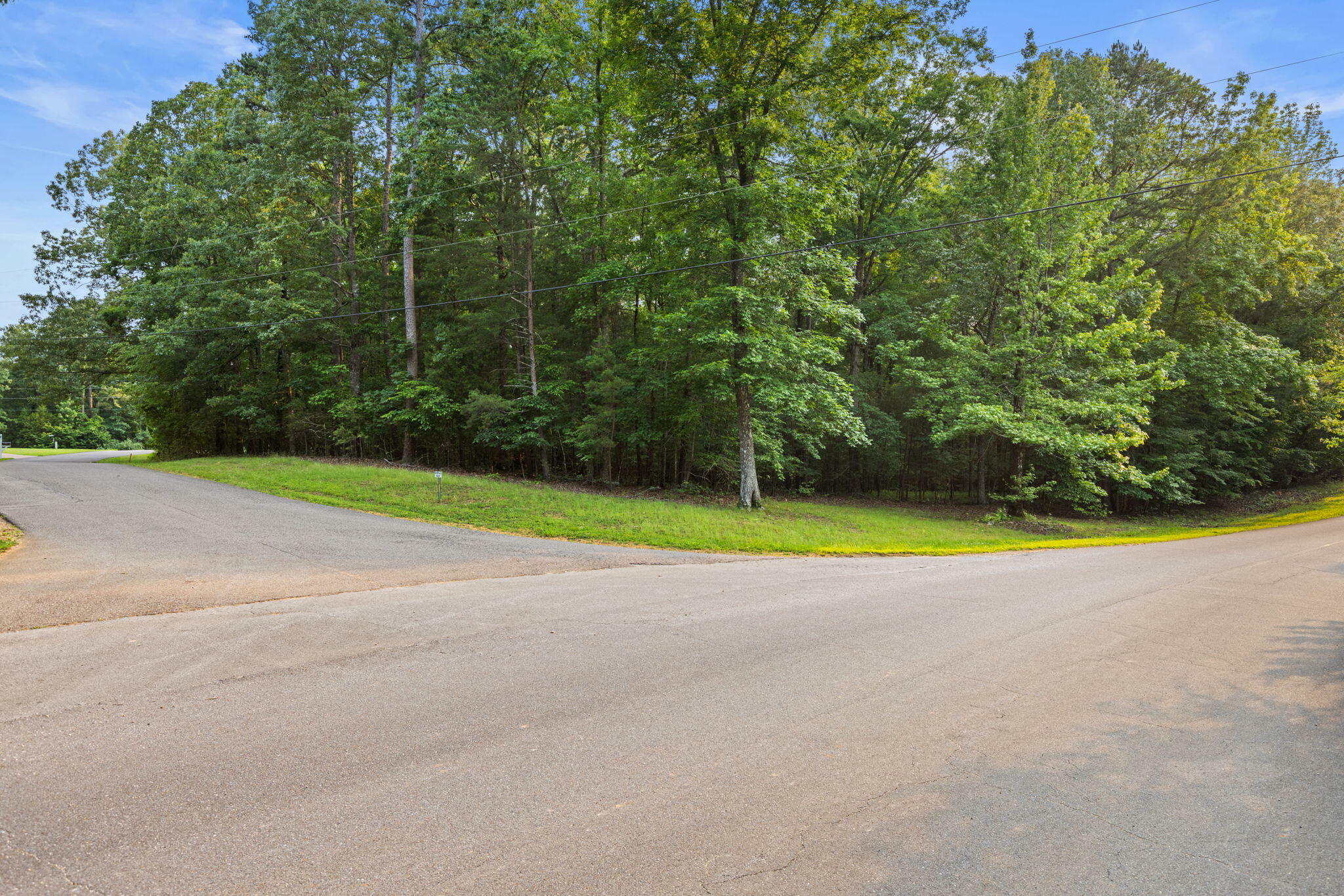 Property Photo:  Lot 178 Sandpiper Point  TN 38326 