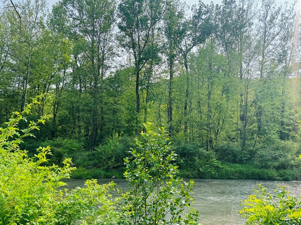 Property Photo: 10397 Route 220 PA 18848