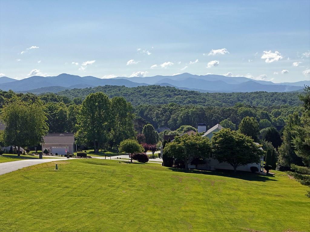 15 Kiloran Way  Blairsville GA 30512 photo