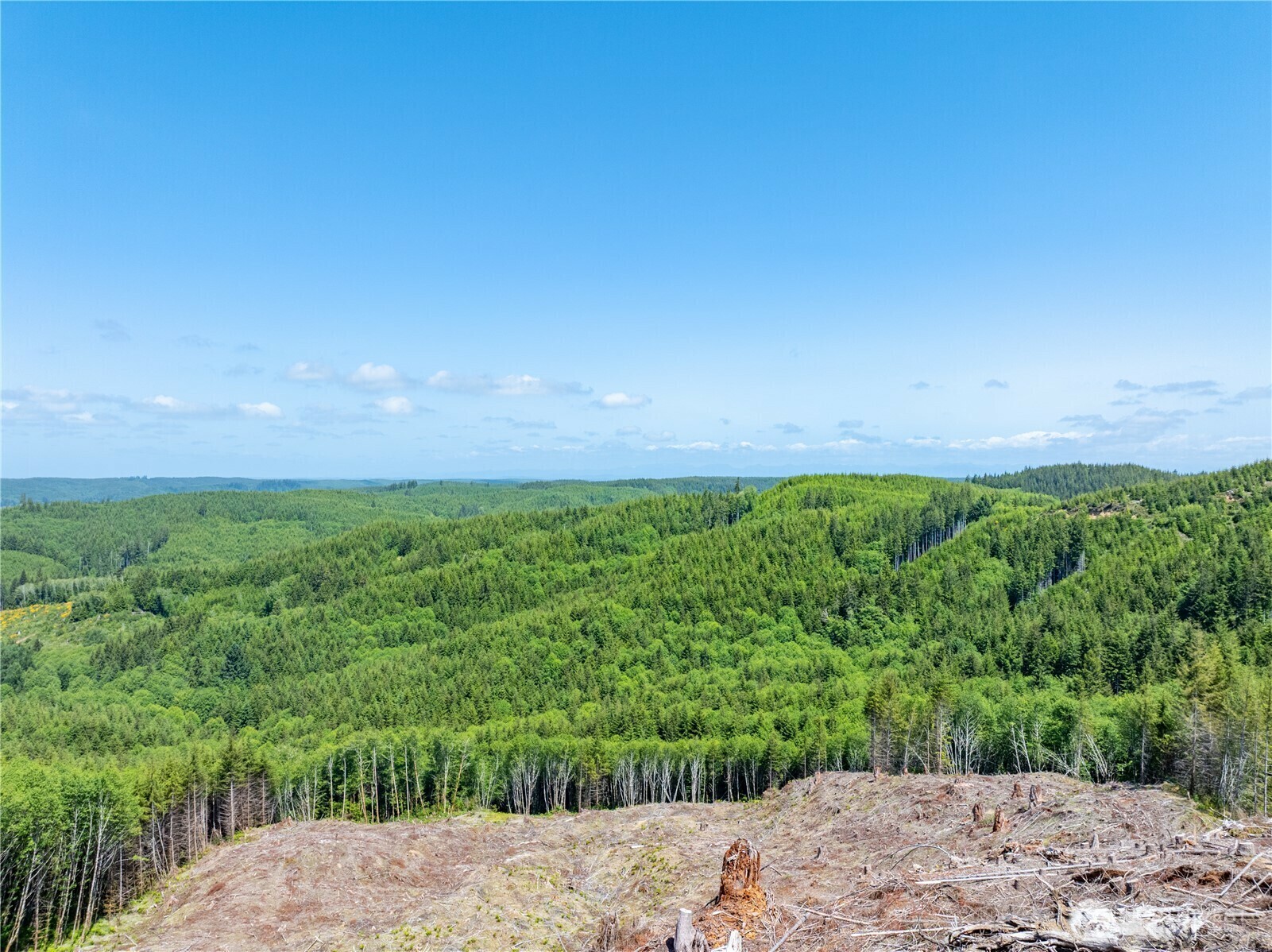 Property Photo: 90 E Wishkah Road WA 98520
