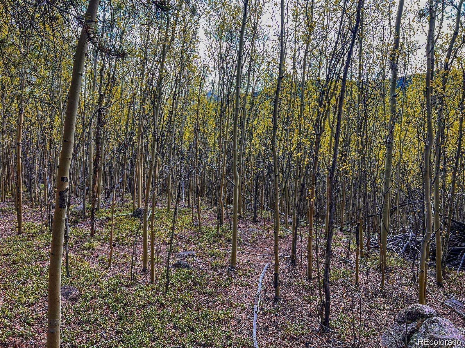 Property Photo: 2564 Empire Valley Drive CO 80461