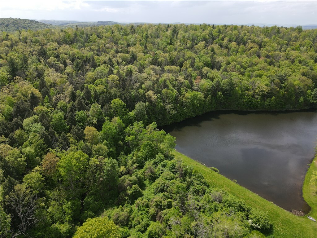 Property Photo:  Vl Lot 1 Hardscrabble Road  NY 14801 