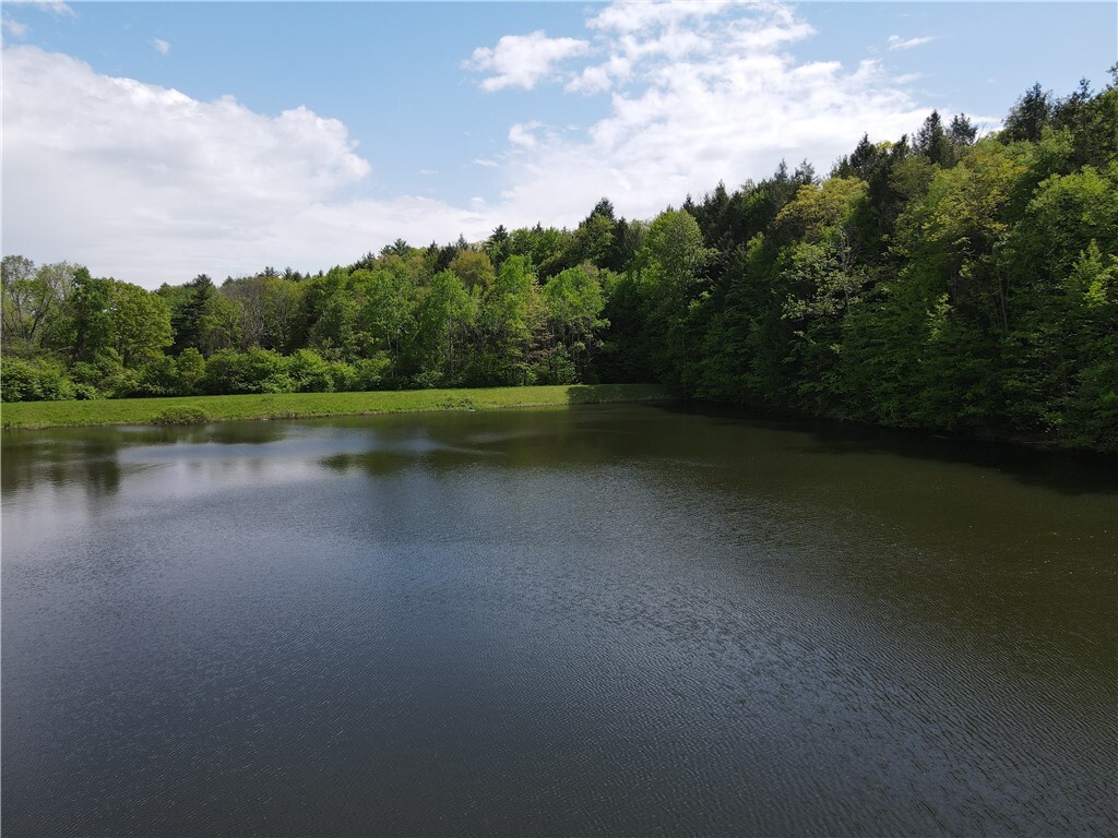 Vl Lot 1 Hardscrabble Road  Addison NY 14801 photo