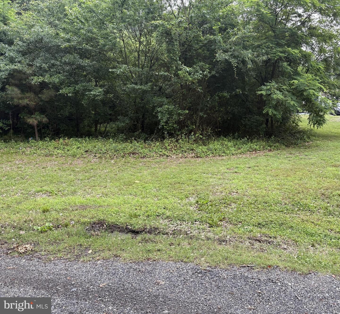 Property Photo:  12321 Camellia Lane Lot #5A  DE 19933 