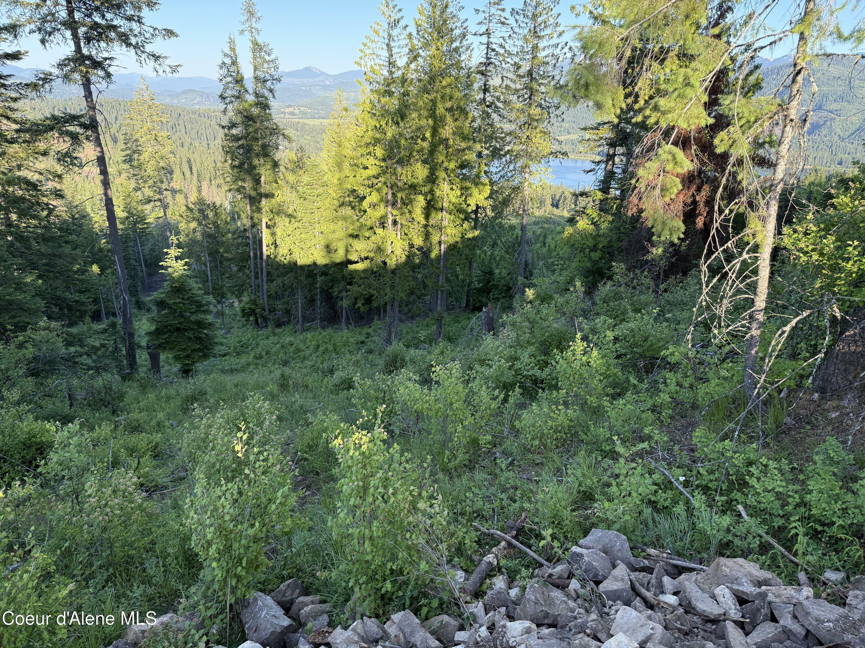 Property Photo: Nka E Doyle Road ID 83810