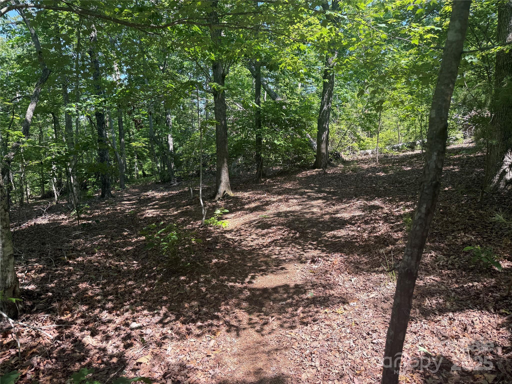 0 Crescent Ridge Lane 373  Nebo NC 28761 photo