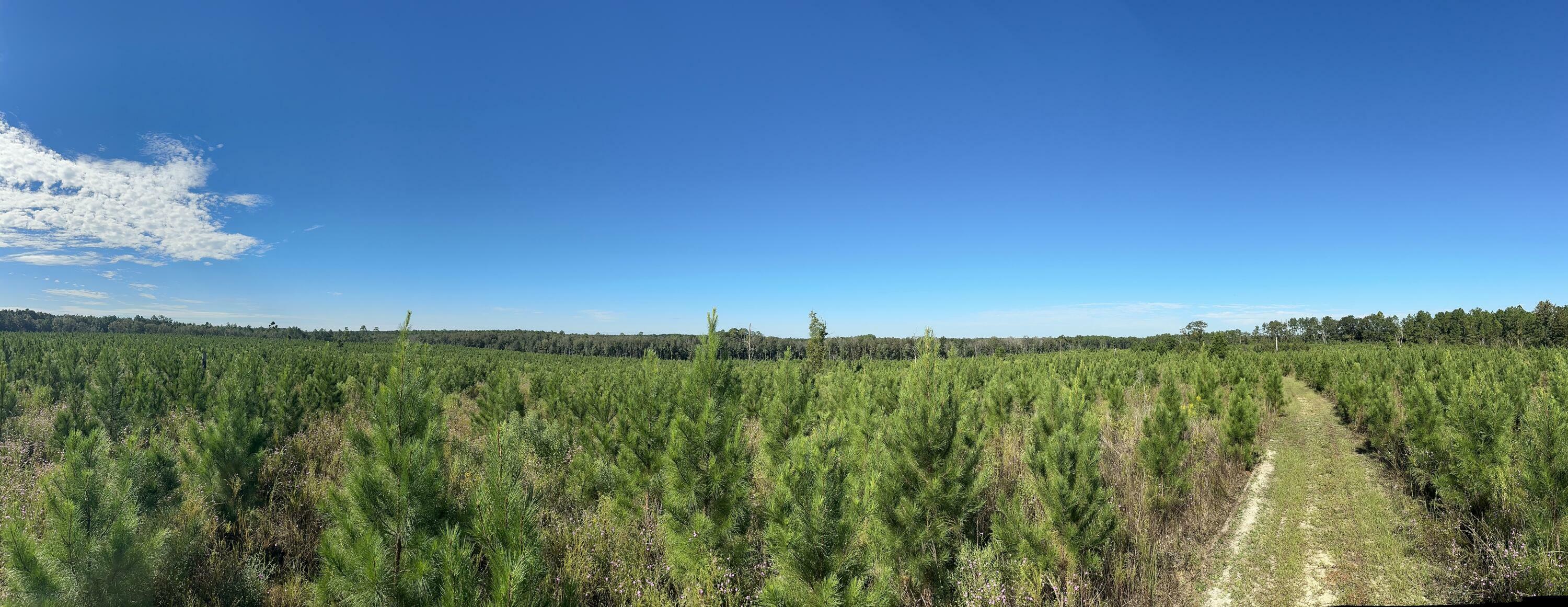 Property Photo: Parcel H Millside Road FL 32567