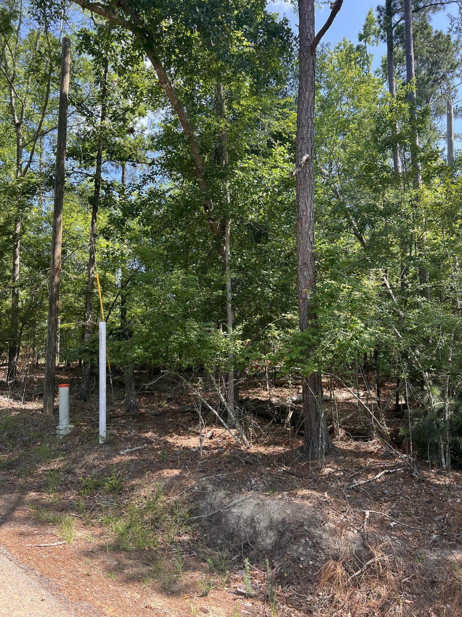 Property Photo: Lot 112 Pawnee Drive GA 30817