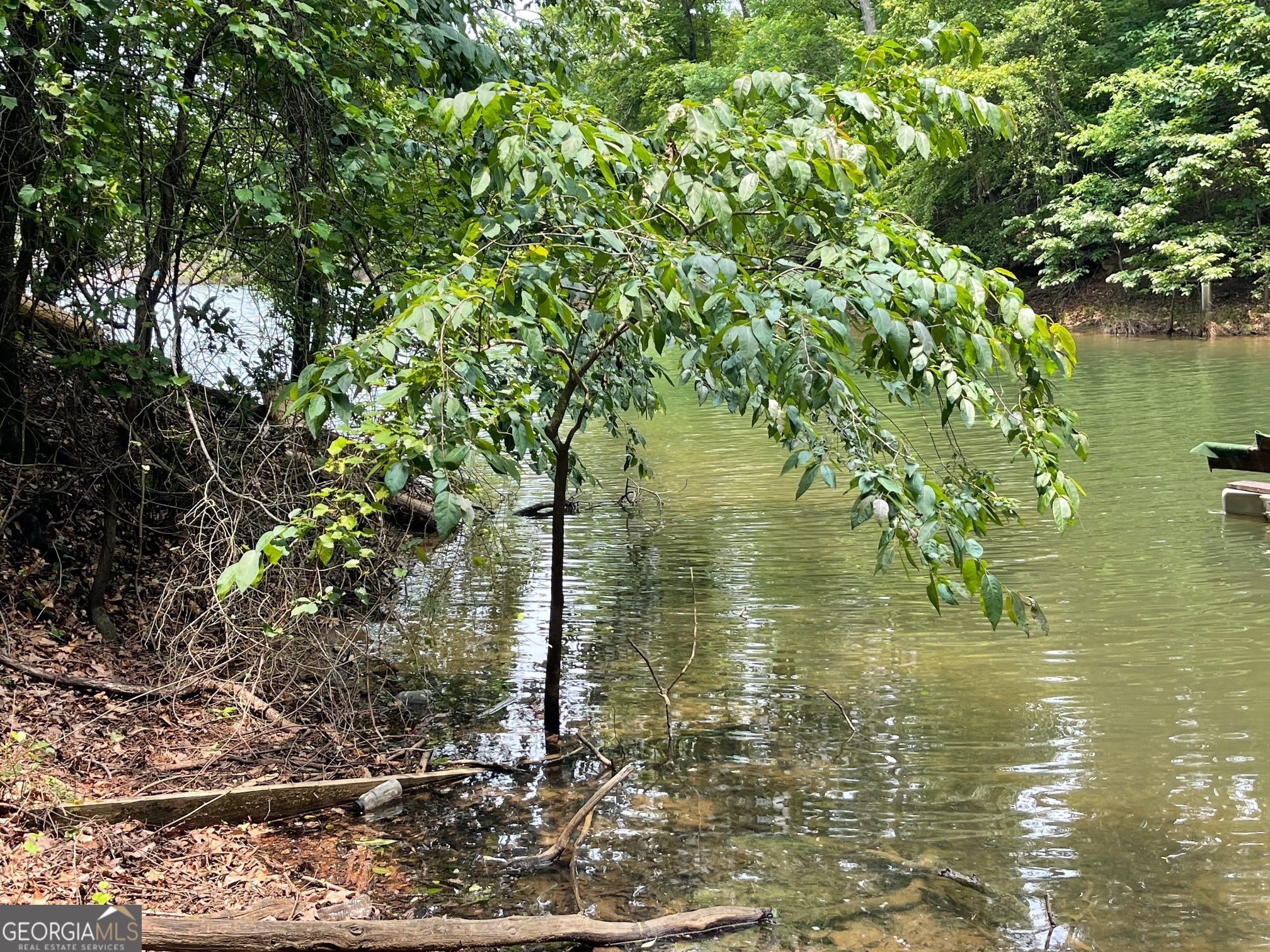 Property Photo: Lot 1682 Point Road SC 29693