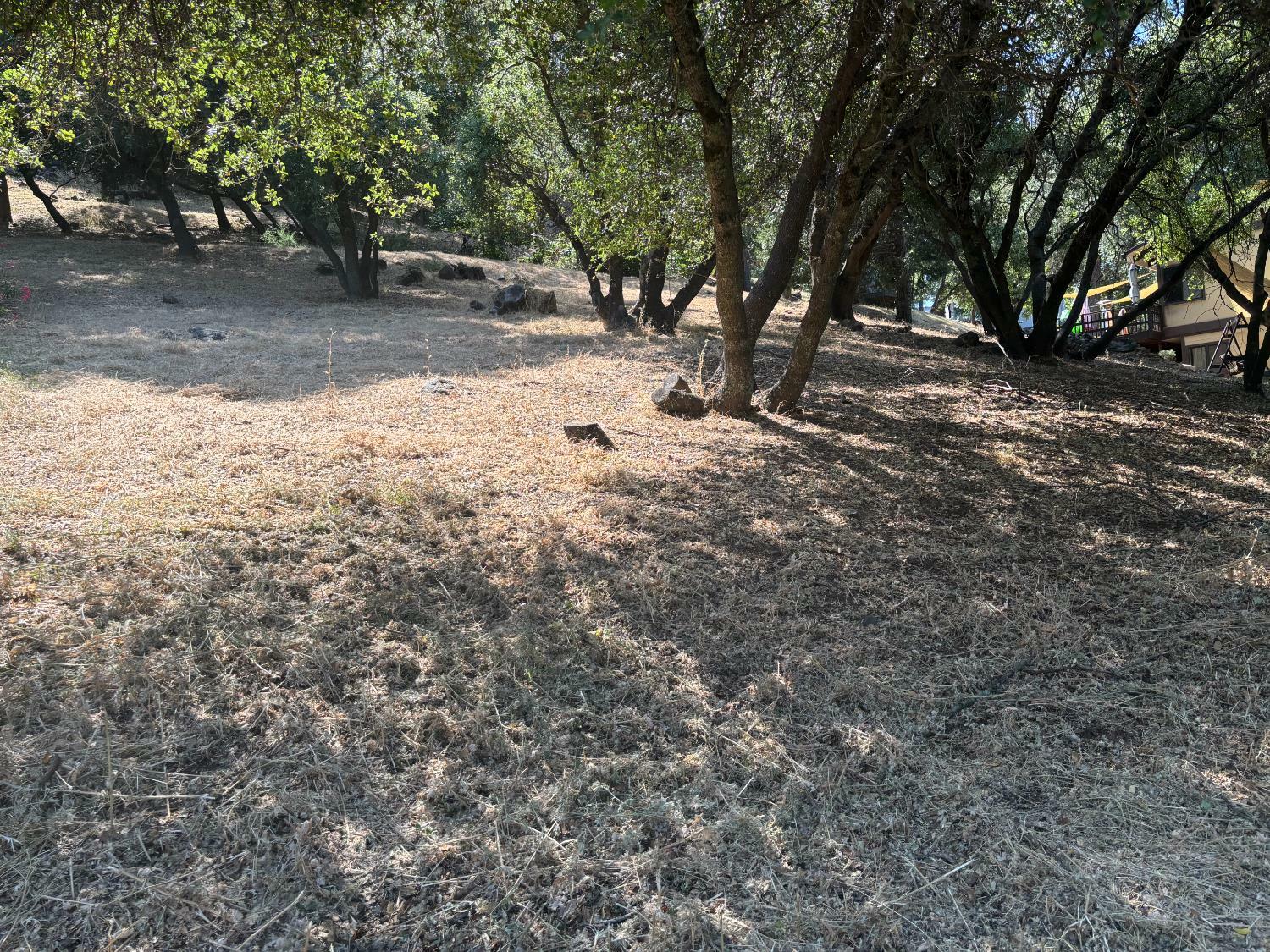 Property Photo: 12964 Roadrunner Dr CA 95946