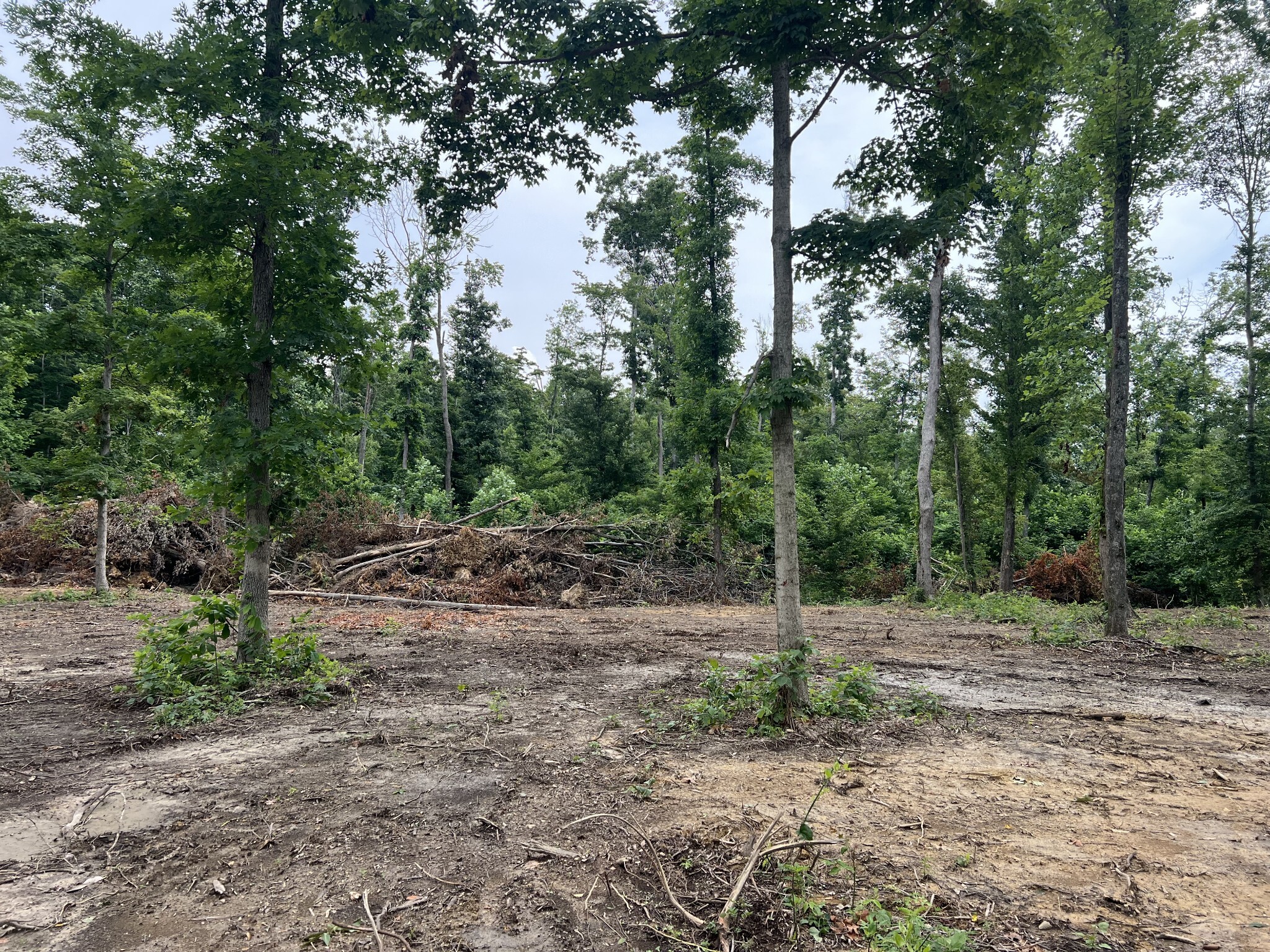 Property Photo:  27 Annie Hollow Rd  TN 37186 