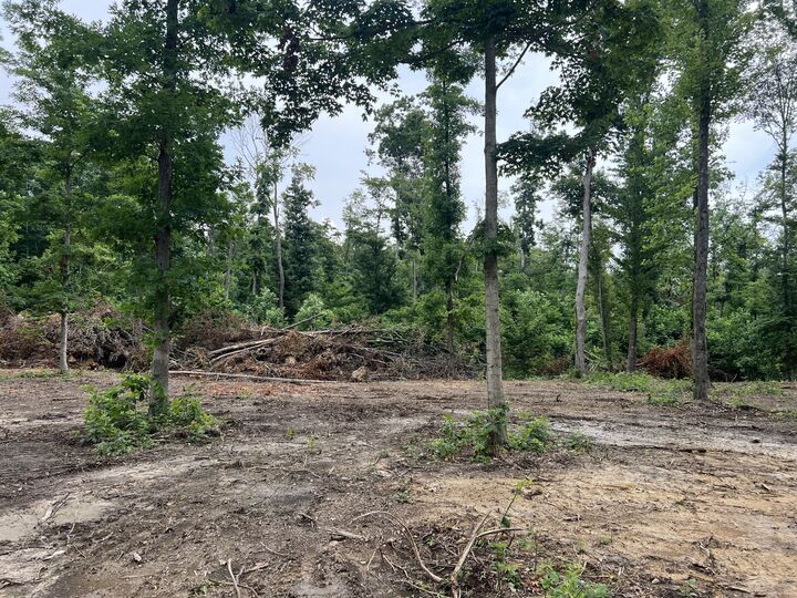 Property Photo:  27 Annie Hollow Rd  TN 37186 