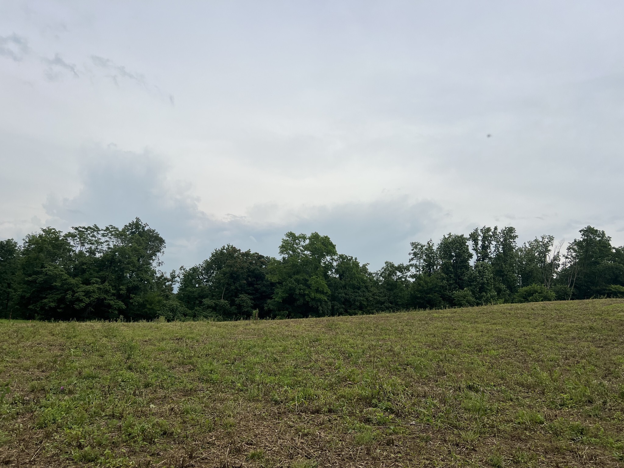Property Photo:  5 Annie Hollow Rd  TN 37186 