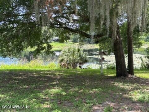 Property Photo:  251 Taylor Fury Road  FL 32181 