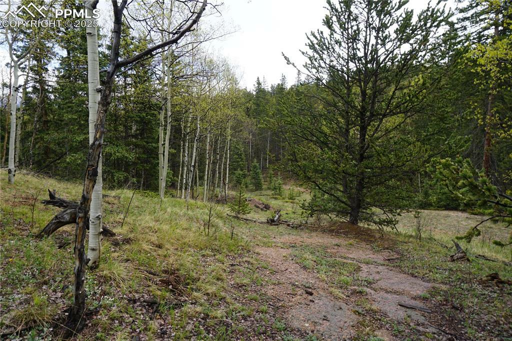 Property Photo: Vacant Land CO 80813