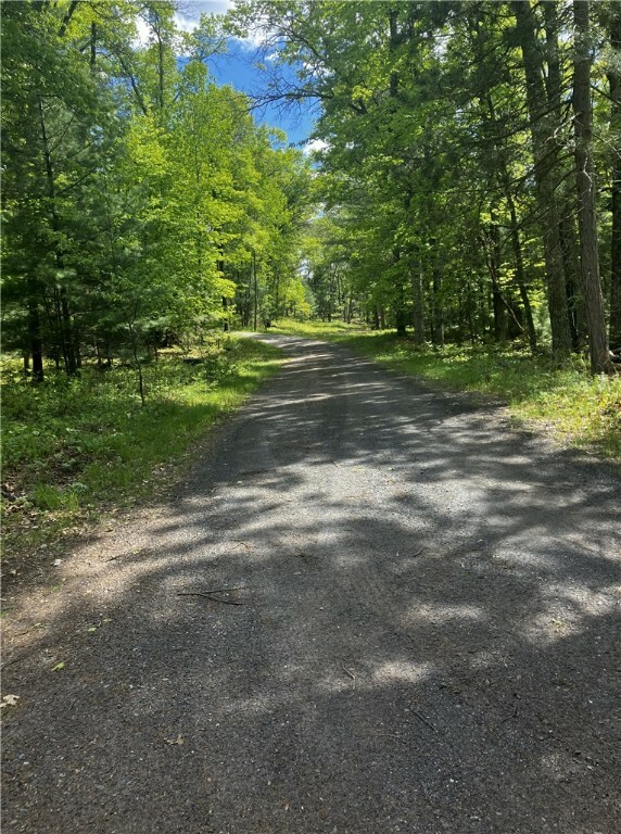 Property Photo:  Lot 21 Mallard Lake Road  WI 54893 