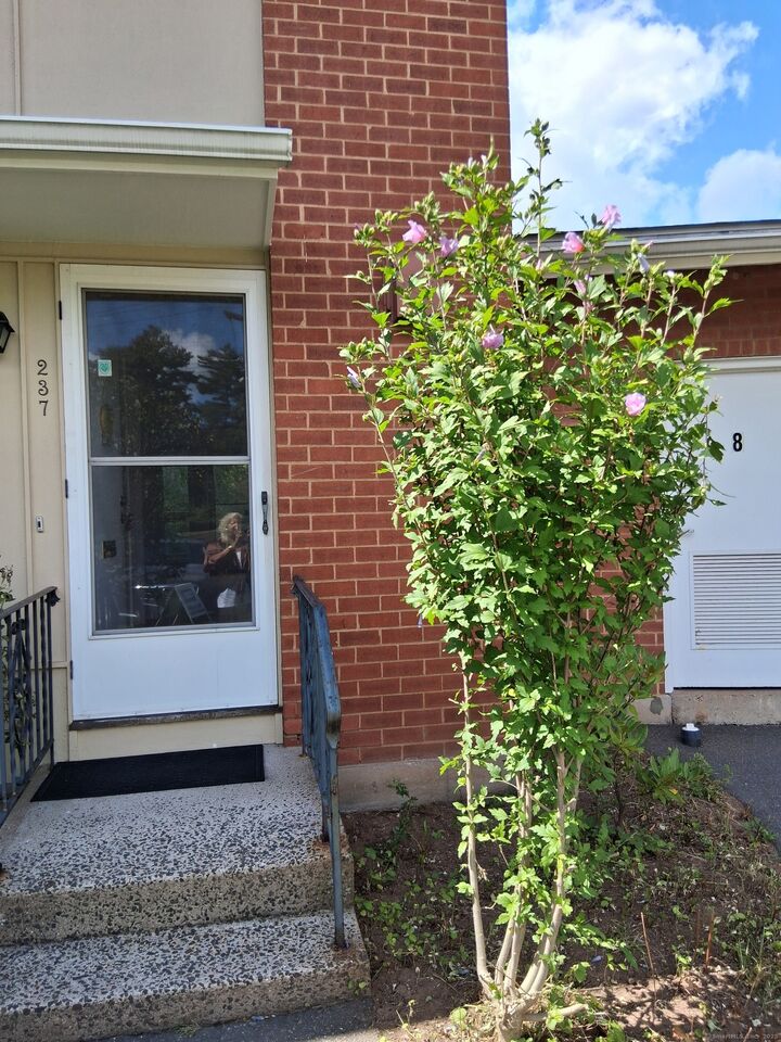 Property Photo: 237 Centerbrook Road CT 06518