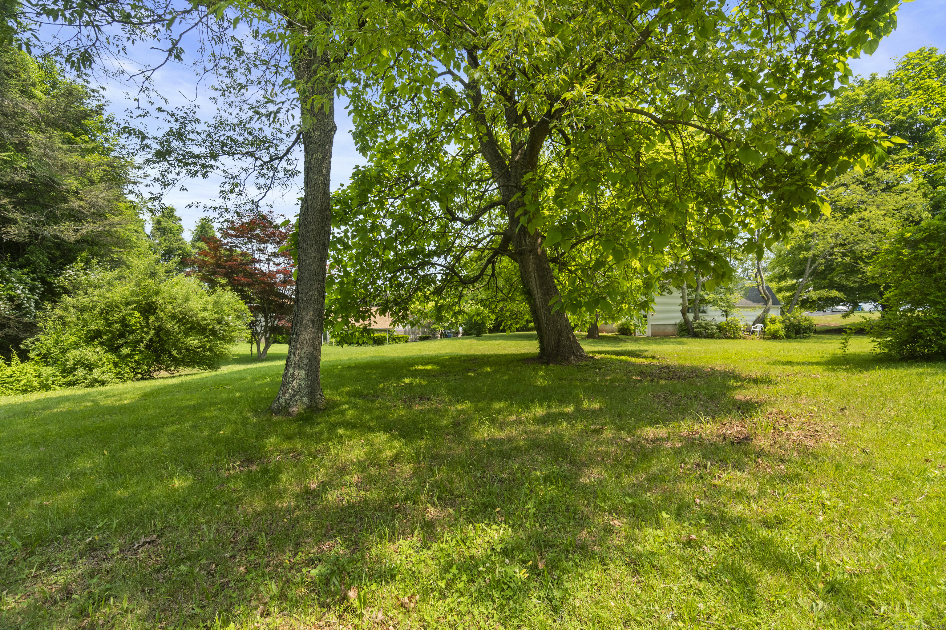 Property Photo: 115 Earl Avenue CT 06514