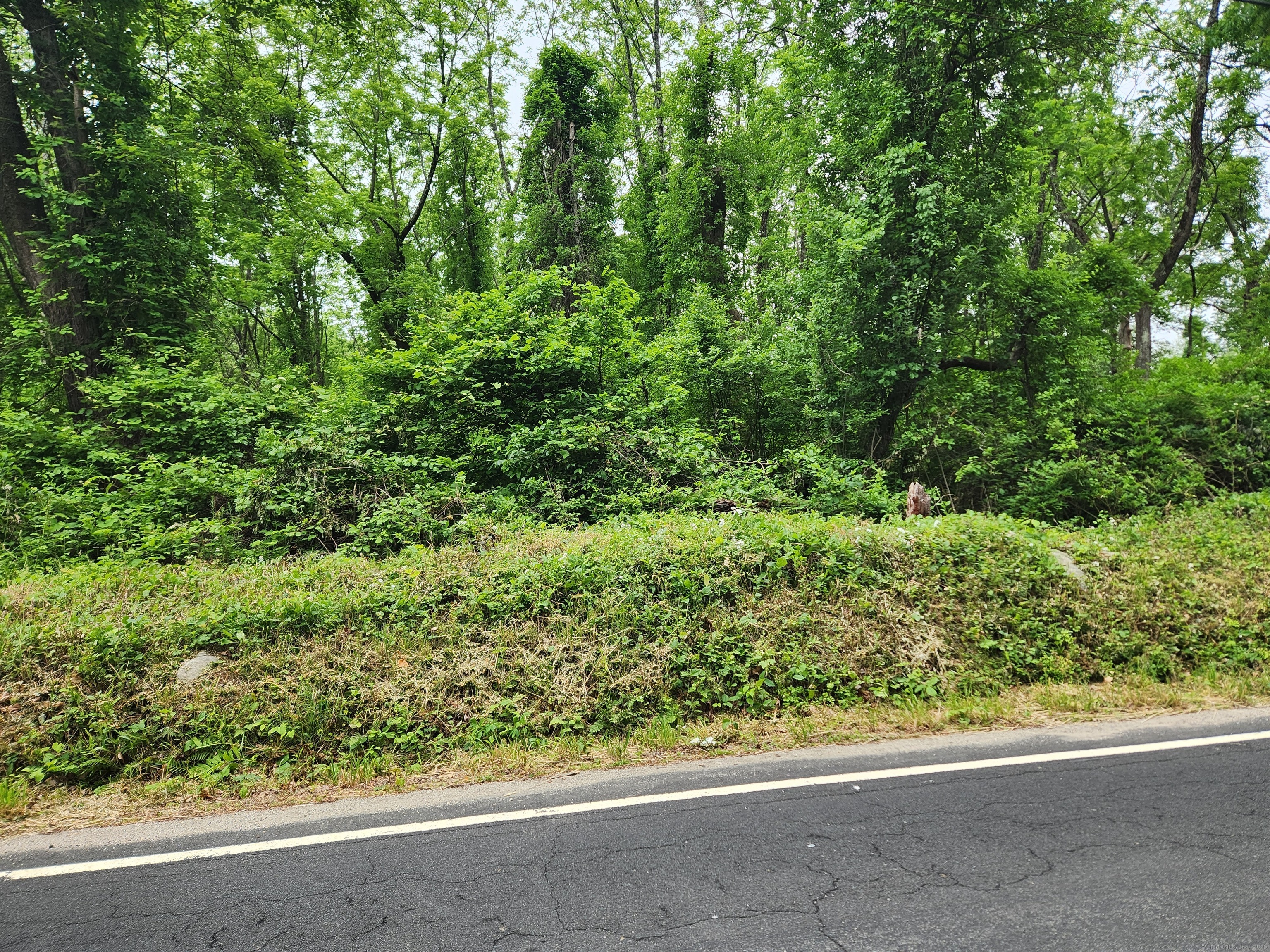 Property Photo:  85 Loomis Road  CT 06043 