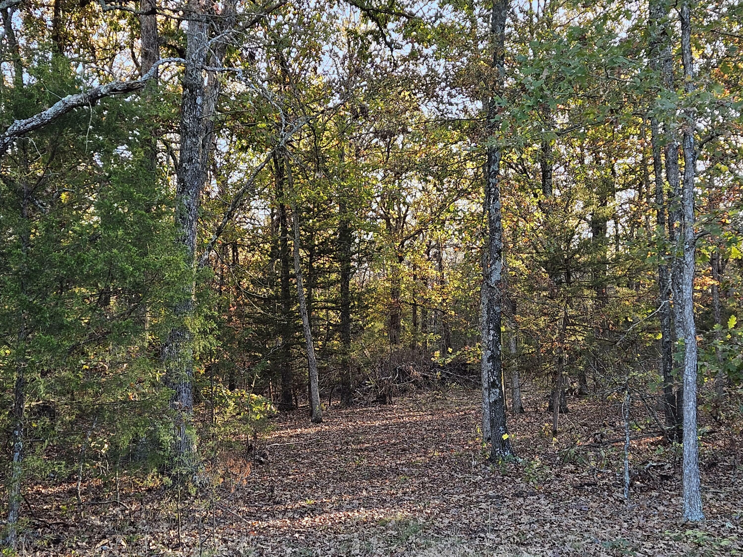 Property Photo: Tract 3 State Highway 174 MO 65705