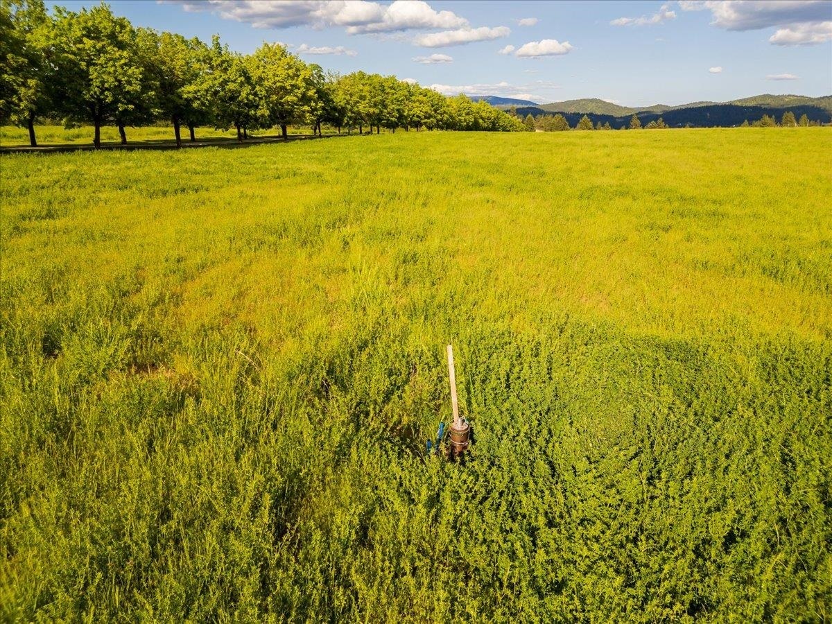 Property Photo: 10621 E Day Mt Spokane Rd South Parcel WA 99021