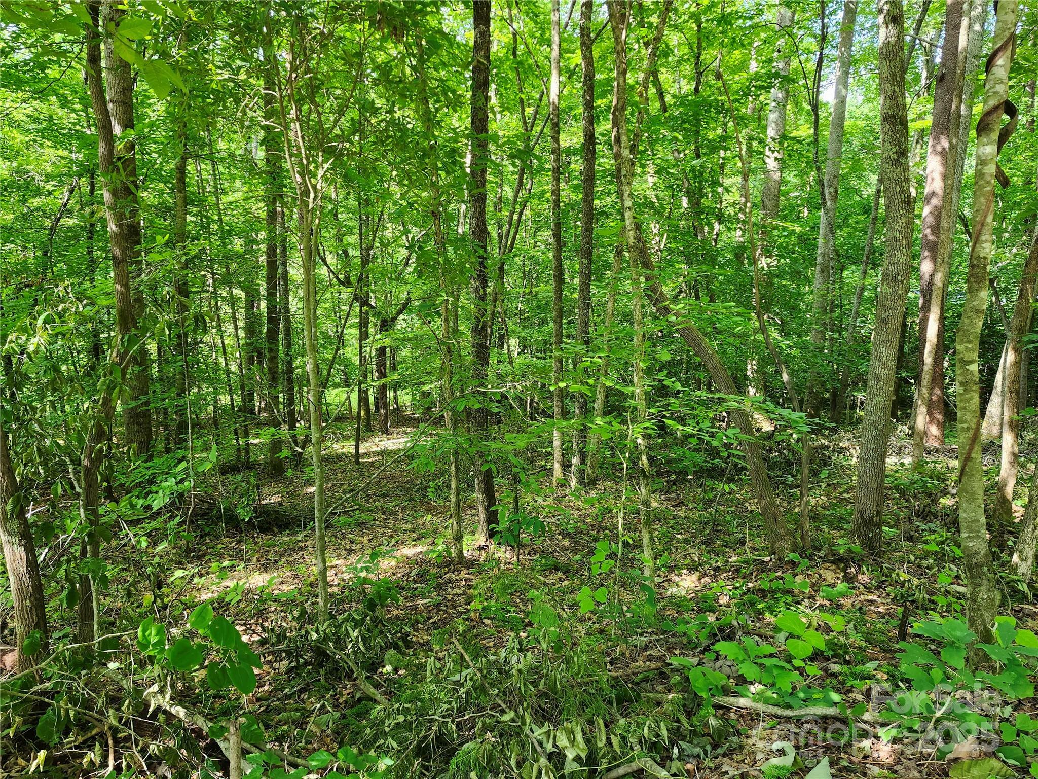 Property Photo: 0000 Hayes Road NC 28722
