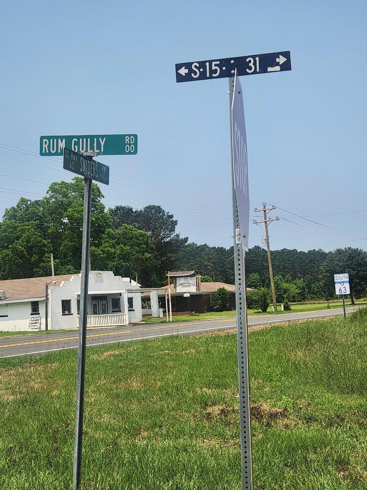 Property Photo:  0 Marsh Rd Interior Parcel Road  SC 29929 