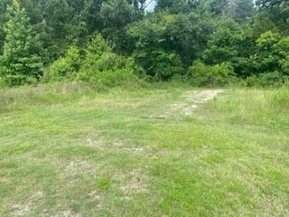 Property Photo: 80 Paris Circle TX 77364