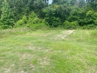 Property Photo:  80 Paris Circle  TX 77364 