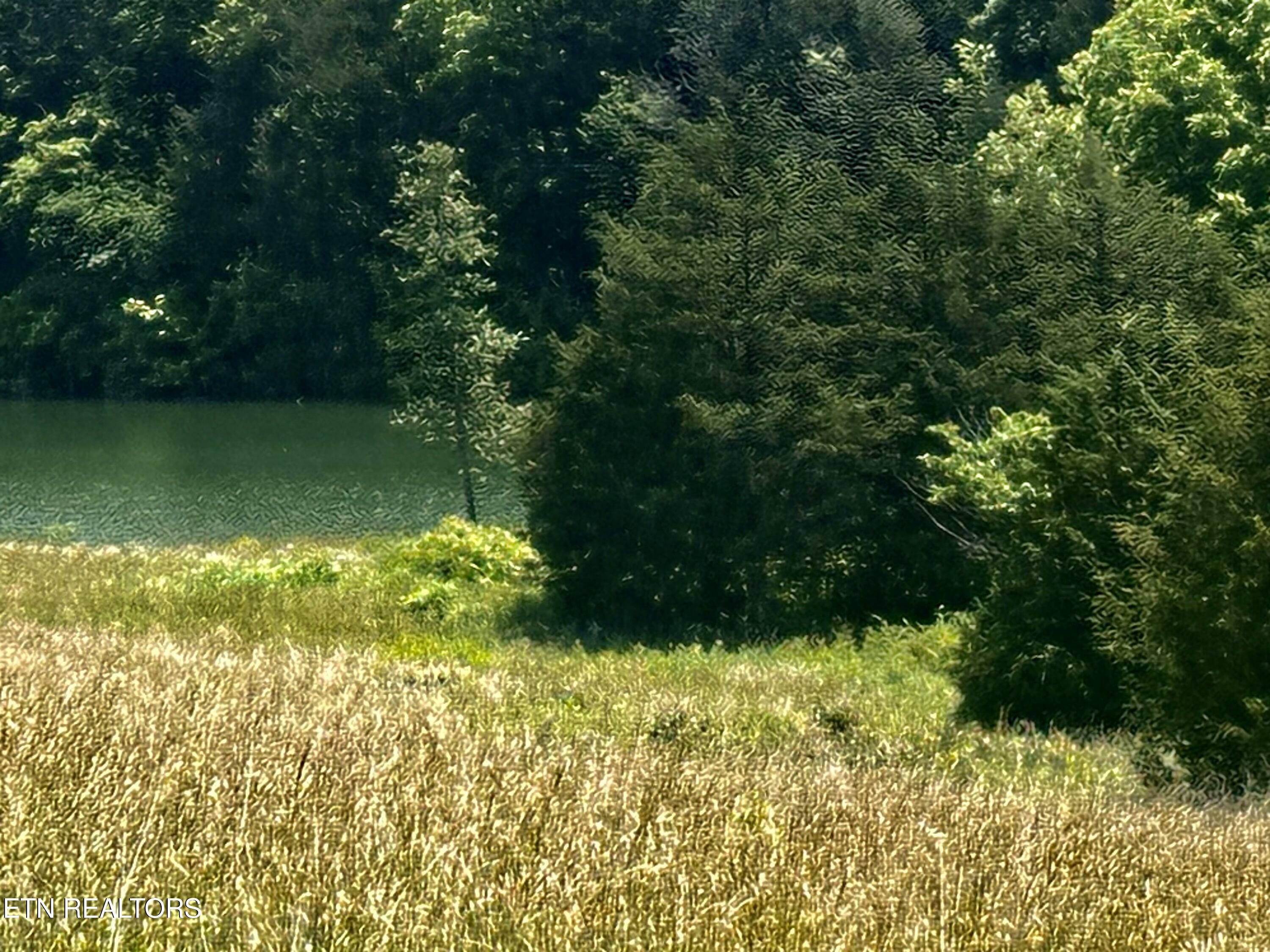 Property Photo: Waterfront Knoll TN 37866