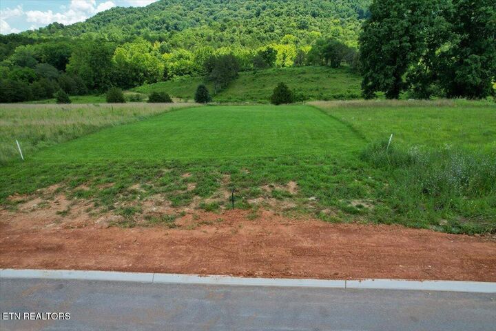 Property Photo: Waterfront Knoll TN 37866