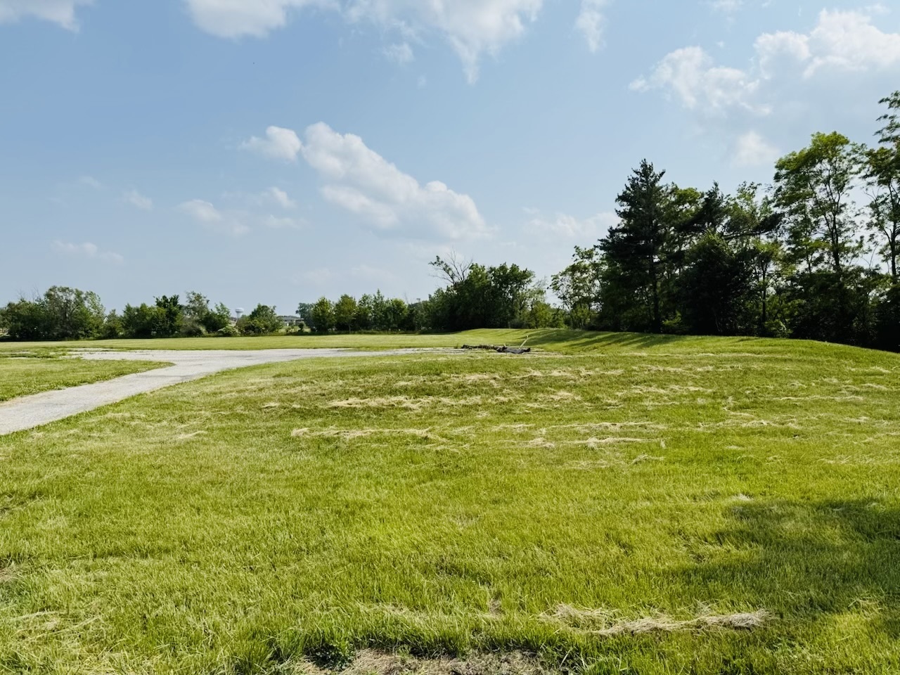 19501 S Torrence Avenue  Lynwood IL 60411 photo