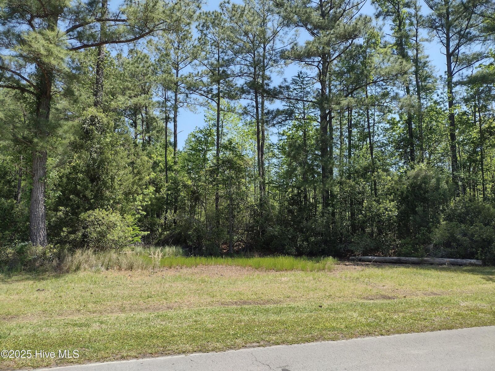 Property Photo: 5105 Bucco Reef Road NC 28560
