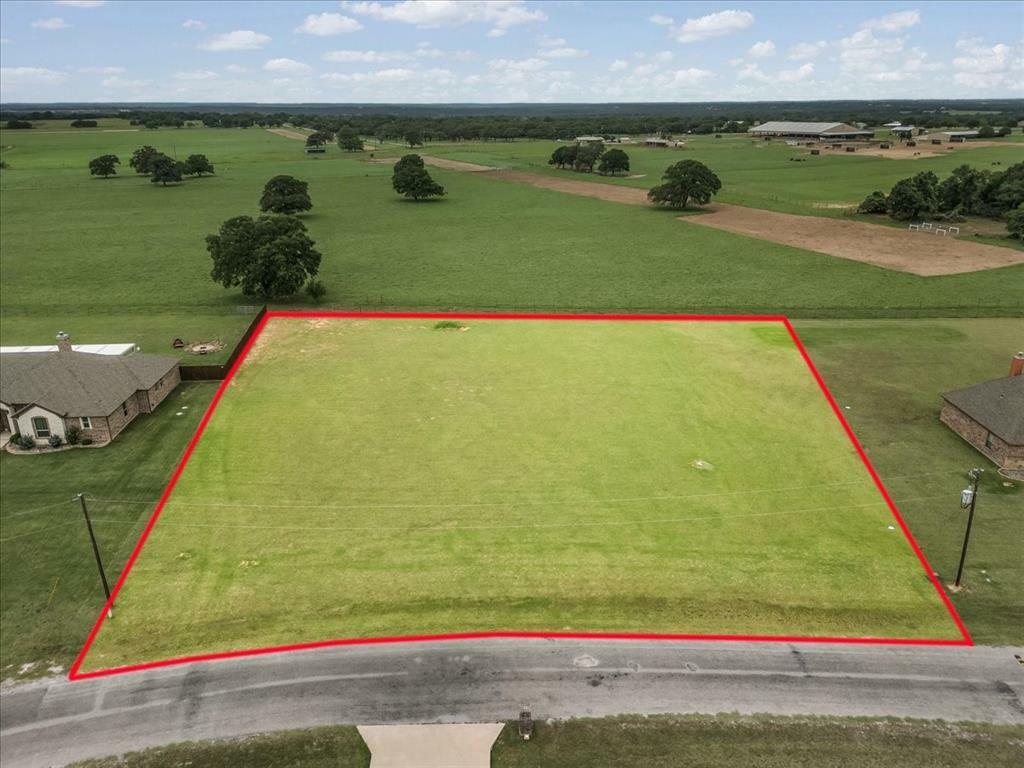 131 Brock Lane  Millsap TX 76066 photo