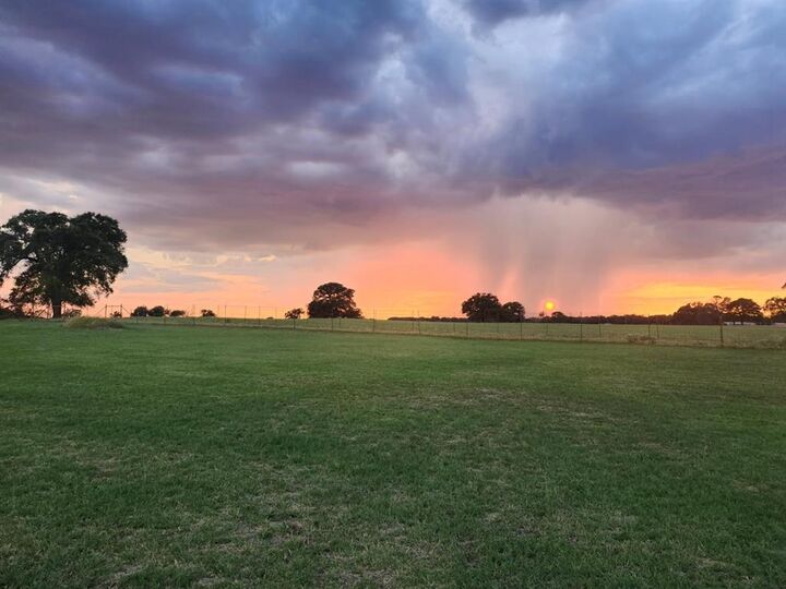 131 Brock Lane  Millsap TX 76066 photo